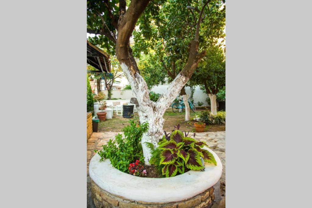 Oasis Villa Preveza Eksteriør bilde